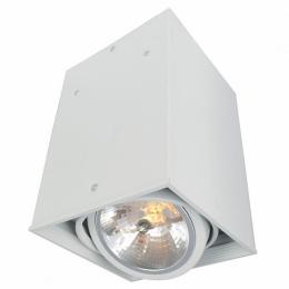 Изображение продукта Потолочный светильник Arte Lamp Cardani A5936PL-1WH 